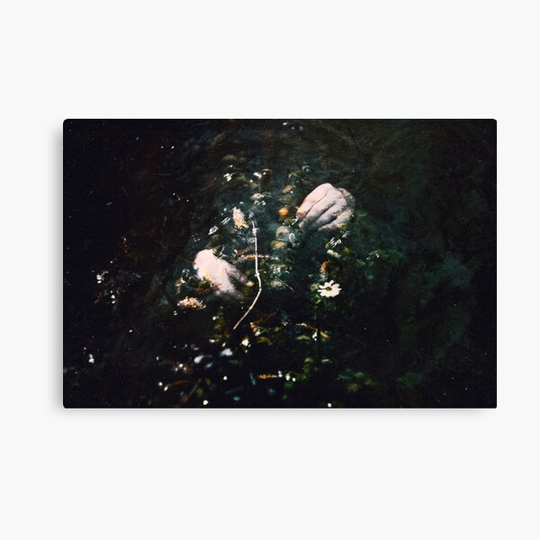 GALATÉE Canvas Print