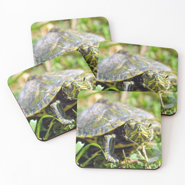 Item preview, Baby Painted Turtle designed and sold by What I See by Dawne.