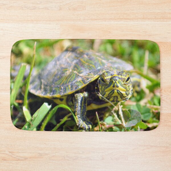 Item preview, Baby Painted Turtle designed and sold by What I See by Dawne.