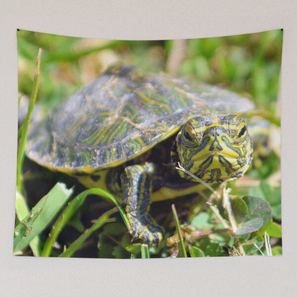 Item preview, Baby Painted Turtle designed and sold by What I See by Dawne.