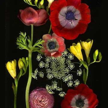 Artwork thumbnail, Spring Mix by Barbara E Wyeth