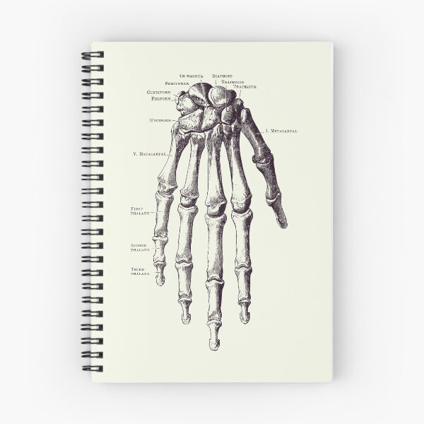 Item preview, Down Facing Hand Skeletal Diagram - Anatomy Print 2 designed and sold by VAposters.