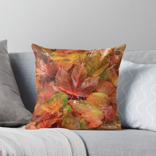 Item preview, Autumn leaf Photograph designed and sold by SimonJohnson1.