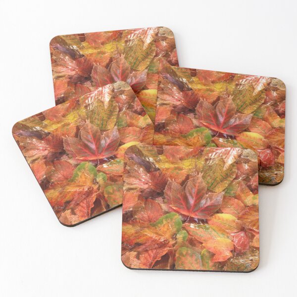 Item preview, Autumn leaf Photograph designed and sold by SimonJohnson1.
