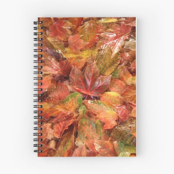 Item preview, Autumn leaf Photograph designed and sold by SimonJohnson1.