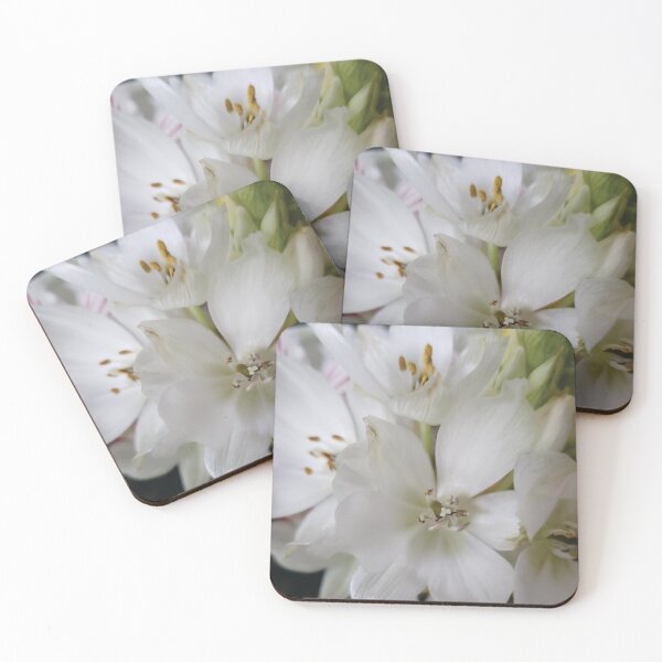 Item preview, Star of Bethlehem designed and sold by Diane Petker.