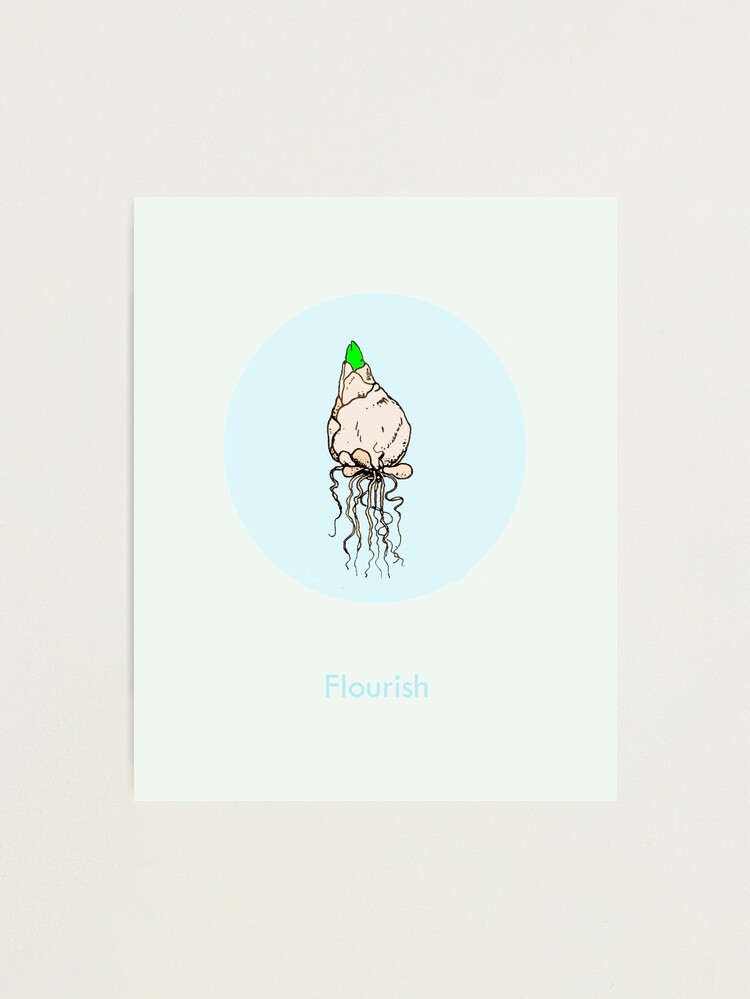 Alternate view of Flourish Photographic Print