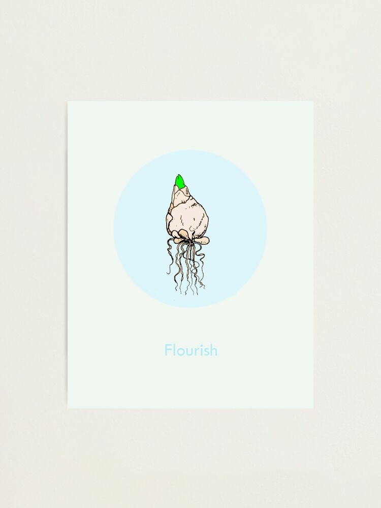 Alternate view of Flourish Photographic Print