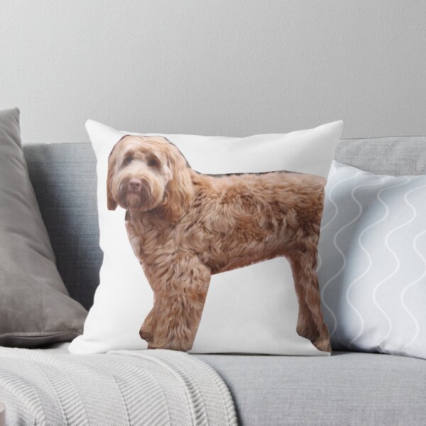 Item preview, Jasper the Labradoodle designed and sold by drmbecker2.