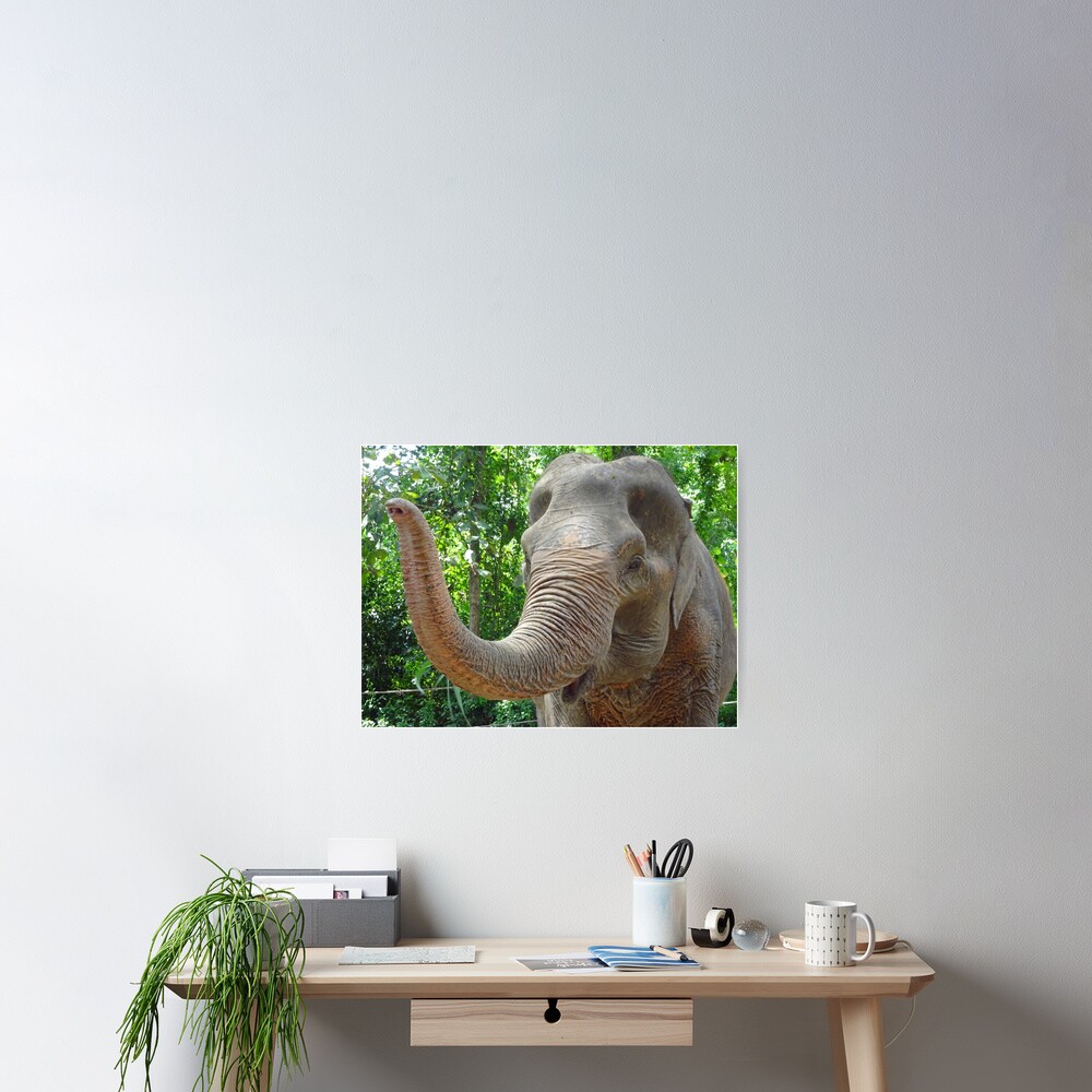 Item preview, Poster designed and sold by cuisinecat2.