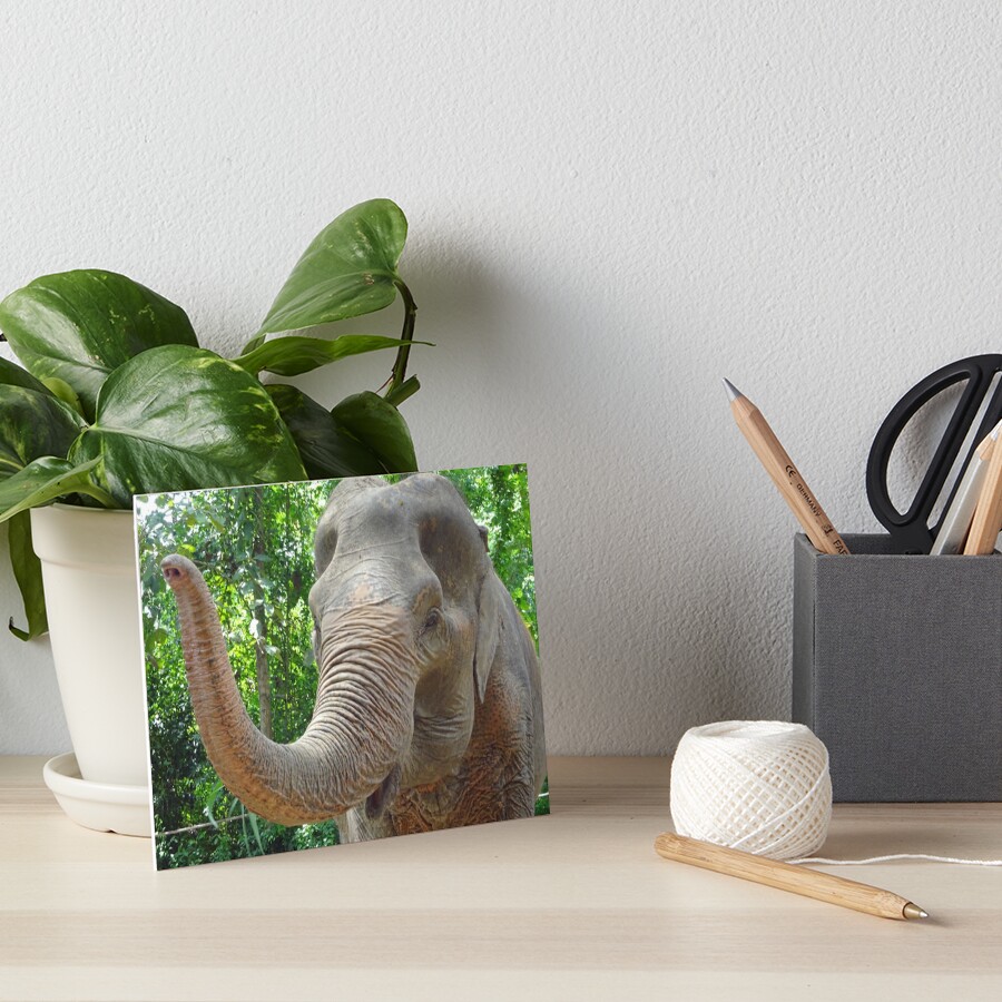 Item preview, Art Board Print designed and sold by cuisinecat2.