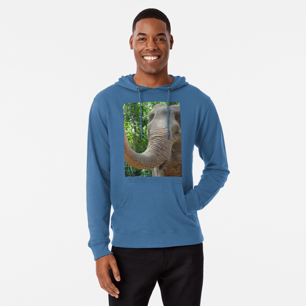 Item preview, Lightweight Hoodie designed and sold by cuisinecat2.