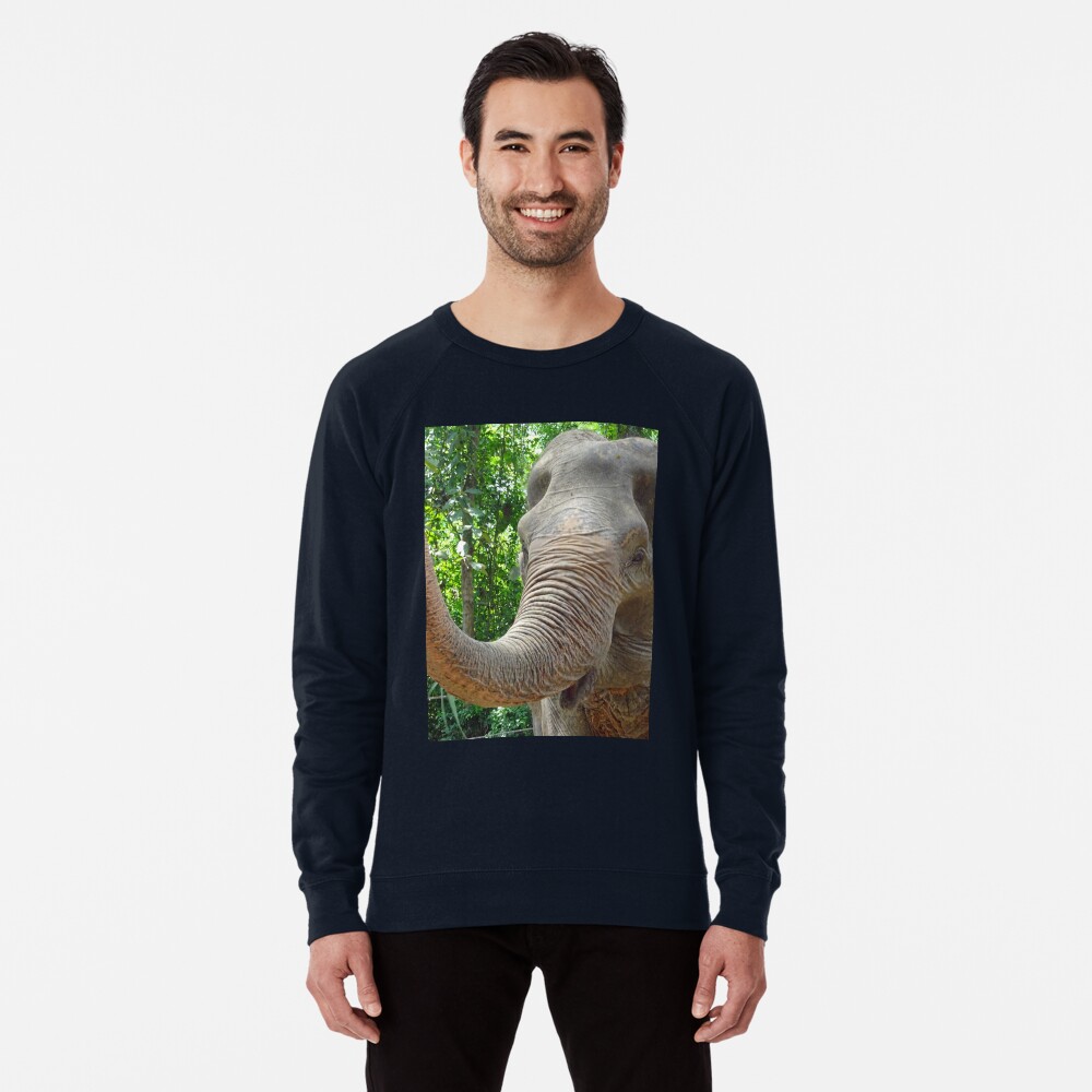 Item preview, Lightweight Sweatshirt designed and sold by cuisinecat2.