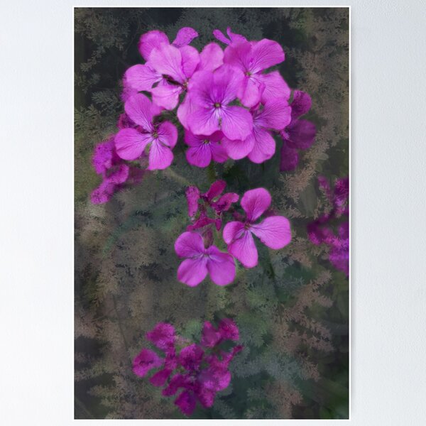 Item preview, Floating designed and sold by Agnes McGuinness.