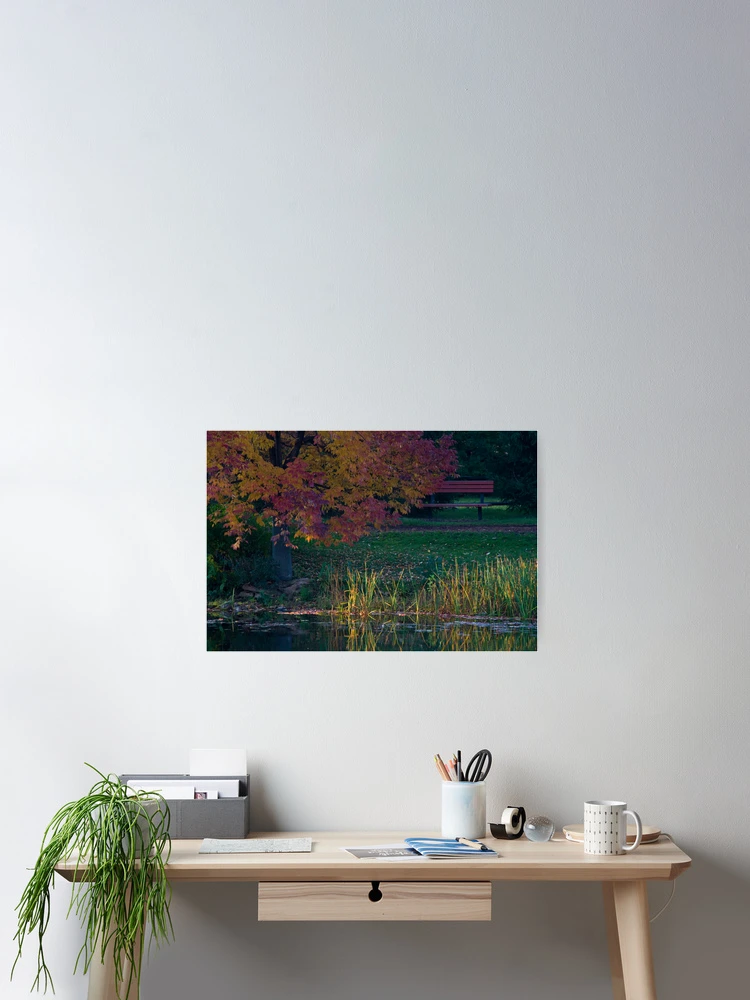 Thumbnail 2 of 3, Poster, Sunlit Reeds designed and sold by Adam Bykowski.