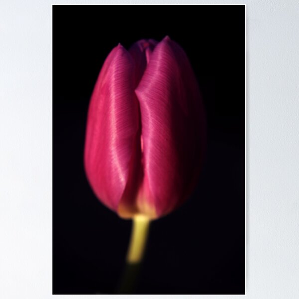 Item preview, The age of elegance designed and sold by Agnes McGuinness.