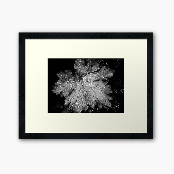 Item preview, Leaf with raindrops, a black and white study designed and sold by Agnes McGuinness.