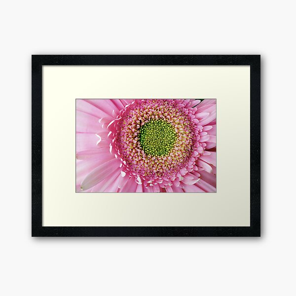 Item preview, Pink Gerbera (macro) designed and sold by Agnes McGuinness.