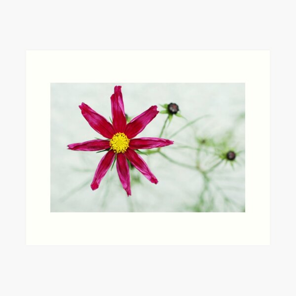 Item preview, Red flower designed and sold by Agnes McGuinness.