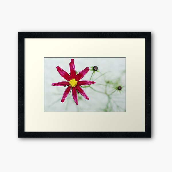 Item preview, Red flower designed and sold by Agnes McGuinness.