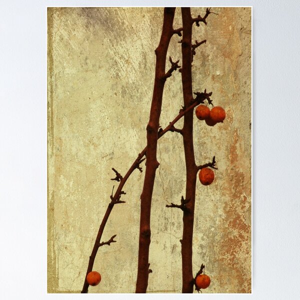 Item preview, Winter berries designed and sold by Agnes McGuinness.
