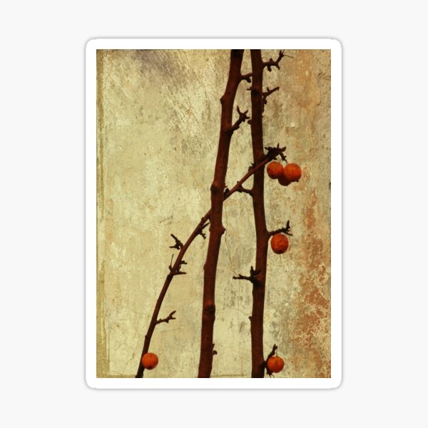 Item preview, Winter berries designed and sold by Agnes McGuinness.