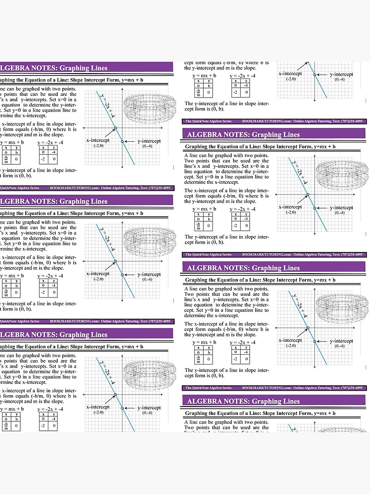 Algebra Notes Graphing Lines Slope Intercept Form Tote Bag By