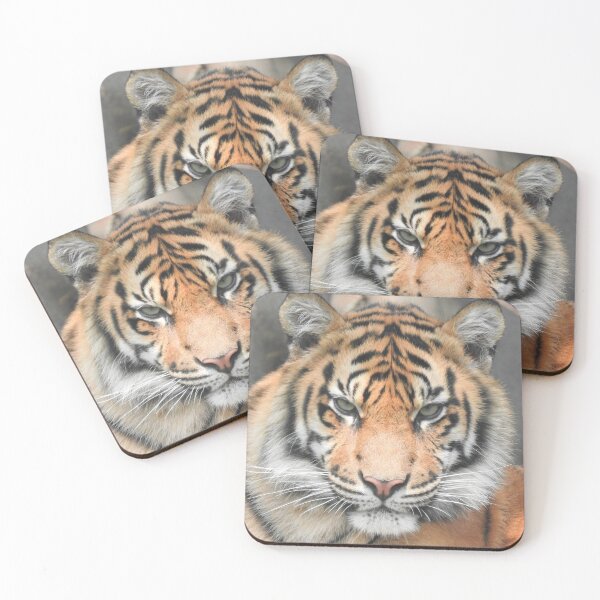 Item preview, Sumatran Tiger designed and sold by kirstybush.