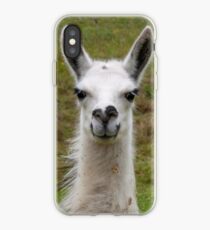Lama iPhone Case