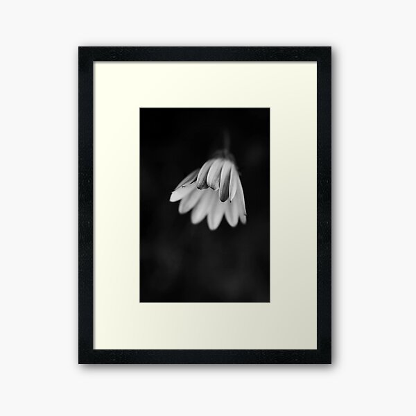 Item preview, Contemplation designed and sold by Agnes McGuinness.