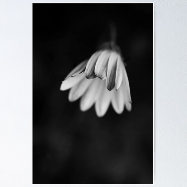 Item preview, Contemplation designed and sold by Agnes McGuinness.