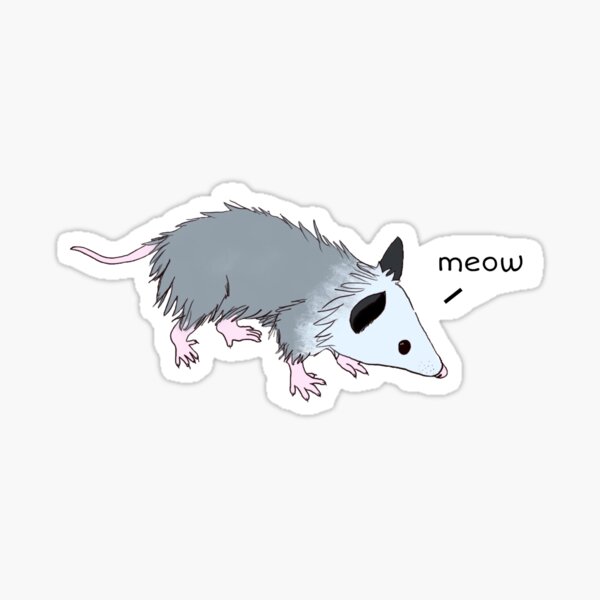 Aperçu de l'œuvre Chat possum créée et vendue par dannirose.
