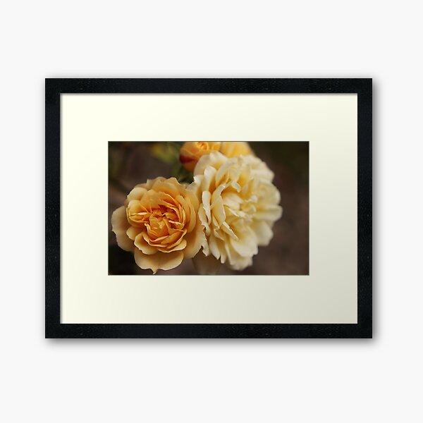 Item preview, Golden glow designed and sold by Agnes McGuinness.