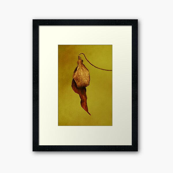 Item preview, Burnt gold designed and sold by Agnes McGuinness.