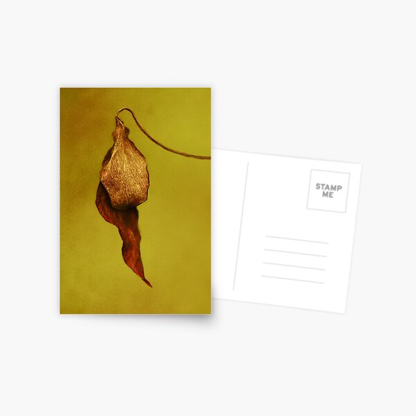 Item preview, Burnt gold designed and sold by Agnes McGuinness.