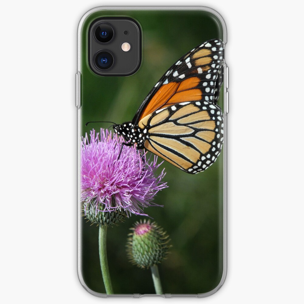 Monarch on Thistle - iPhone Case iPhone Case & Cover