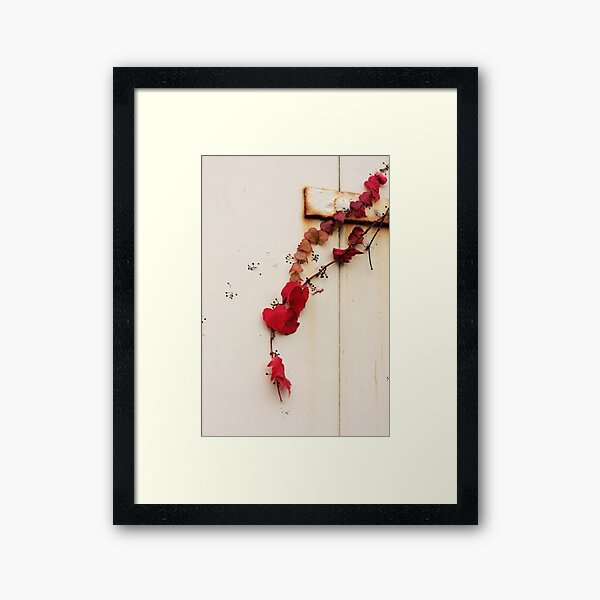 Item preview, Red ivy designed and sold by Agnes McGuinness.