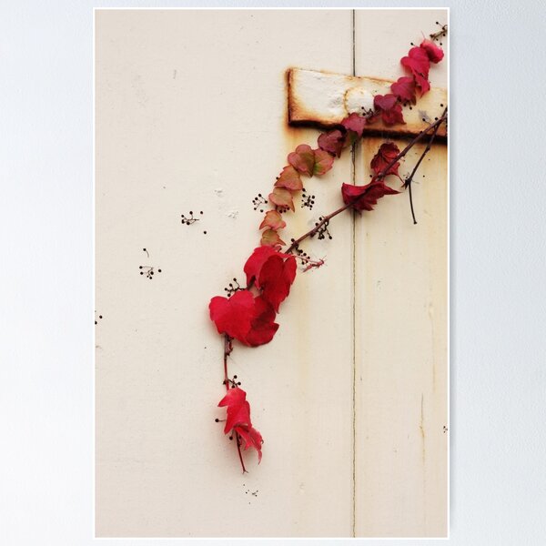 Item preview, Red ivy designed and sold by Agnes McGuinness.