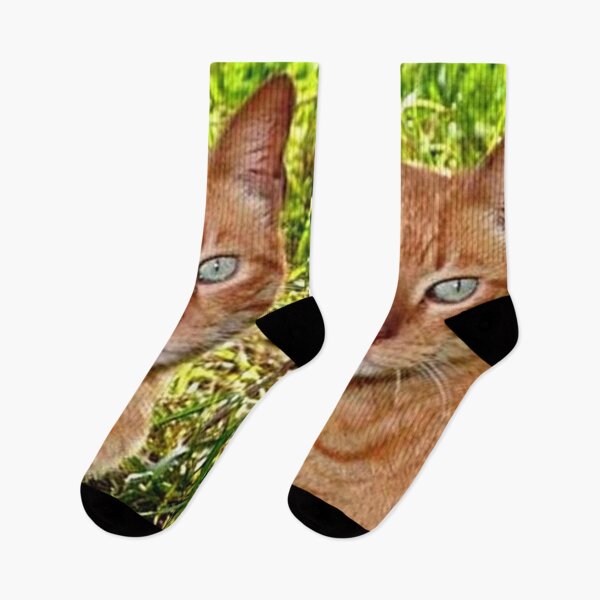 Item preview, CHEF NANE 4 red cat beautiful look eyes orange green garden grass cute designed and sold by dragonemma.