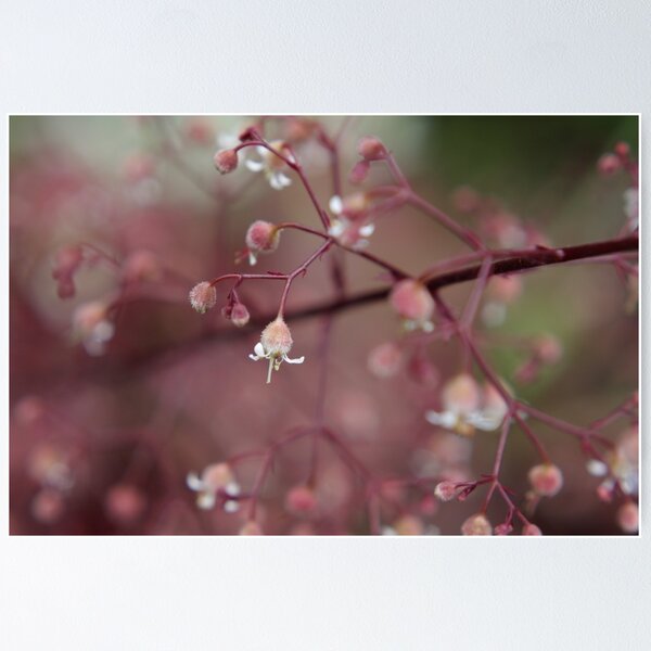 Item preview, Dusk pink designed and sold by Agnes McGuinness.