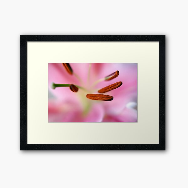 Item preview, Lily designed and sold by Agnes McGuinness.