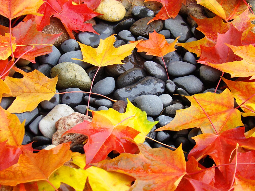 autumn leaves painting