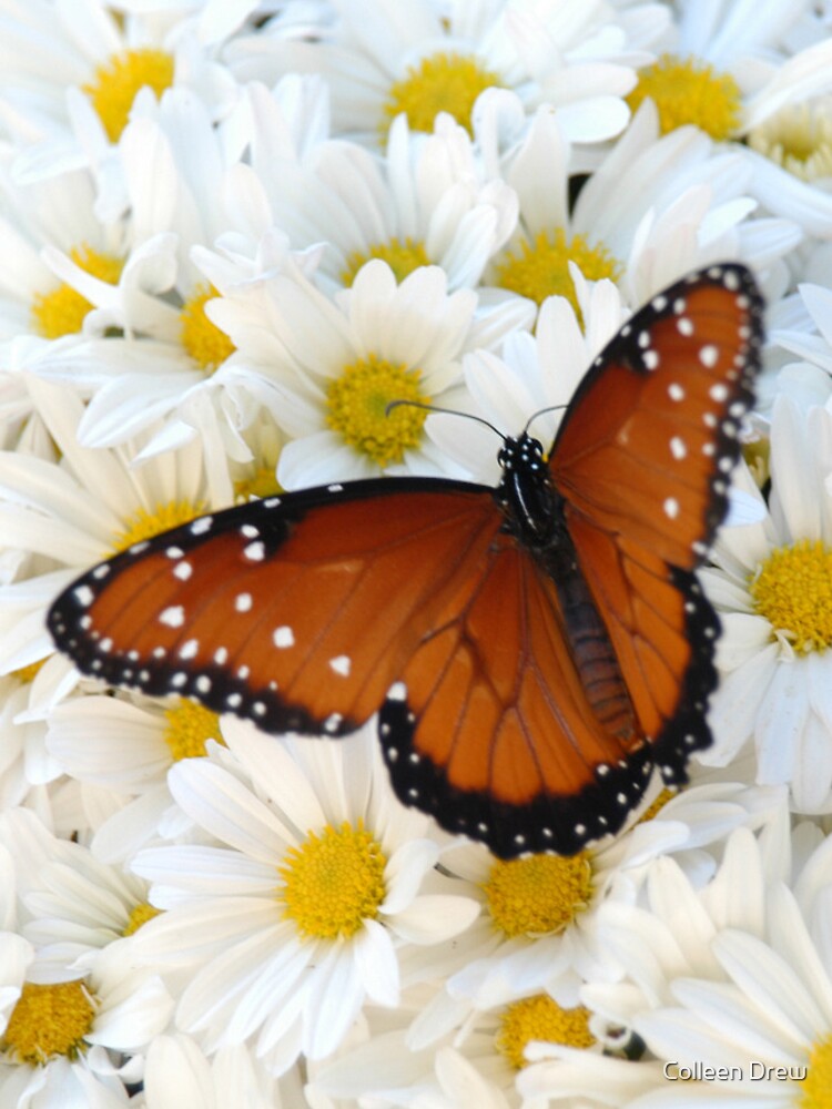 Thumbnail 4 of 4, iPhone Case, Butterfly on Daisies - iPhone Case designed and sold by colgdrew.