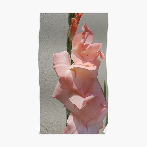 E5 85 Posters Redbubble