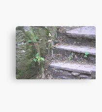 A Step to the Root Problem Canvas Print