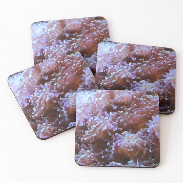 Item preview, More Pretty Anemones designed and sold by PhrozenPhotos.