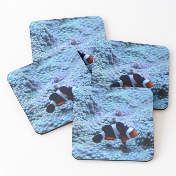 Item preview, Little Guy, Big Territory designed and sold by PhrozenPhotos.
