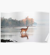 Buck - Ottawa River Poster