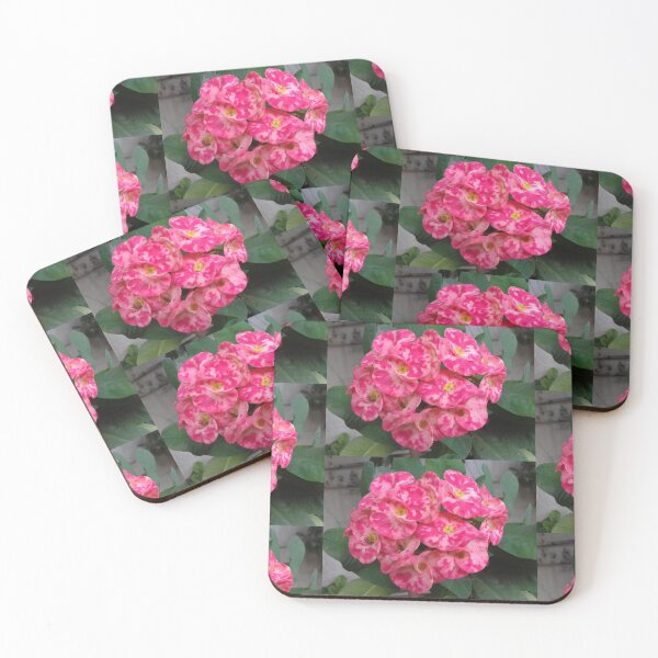 Item preview, Flower's Pink Beauty  designed and sold by BasantSoni.