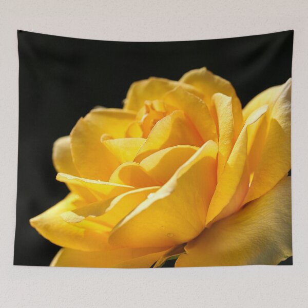 Item preview, Golden Rose designed and sold by Joy Watson - Natural Light Photography .